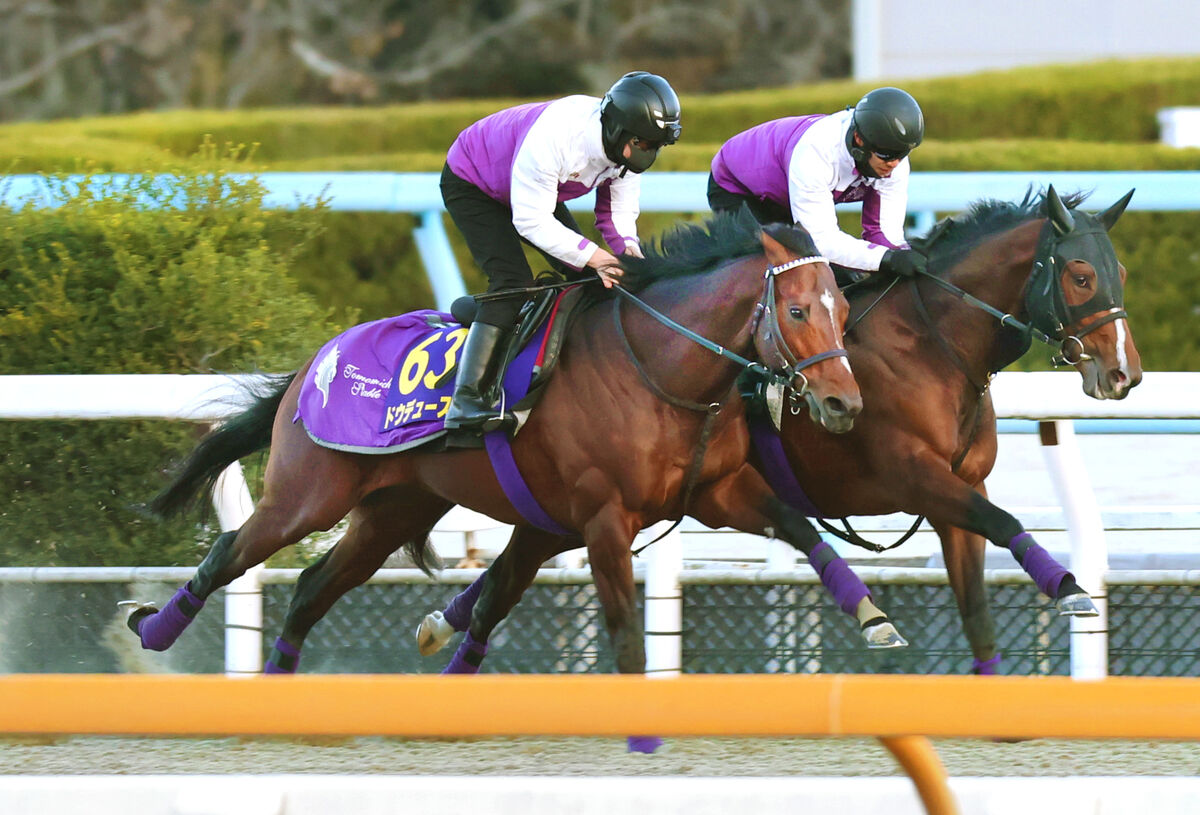 武豊“愛馬”とラストランへ「悔しいことも何度もあった。でも、そのたびにまた勝ってくれて、勇気をもらえた」