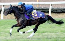 【有馬記念】第８８代ダービー馬が打倒ドウデュースへ心身ともに昨年以上の状態で挑む