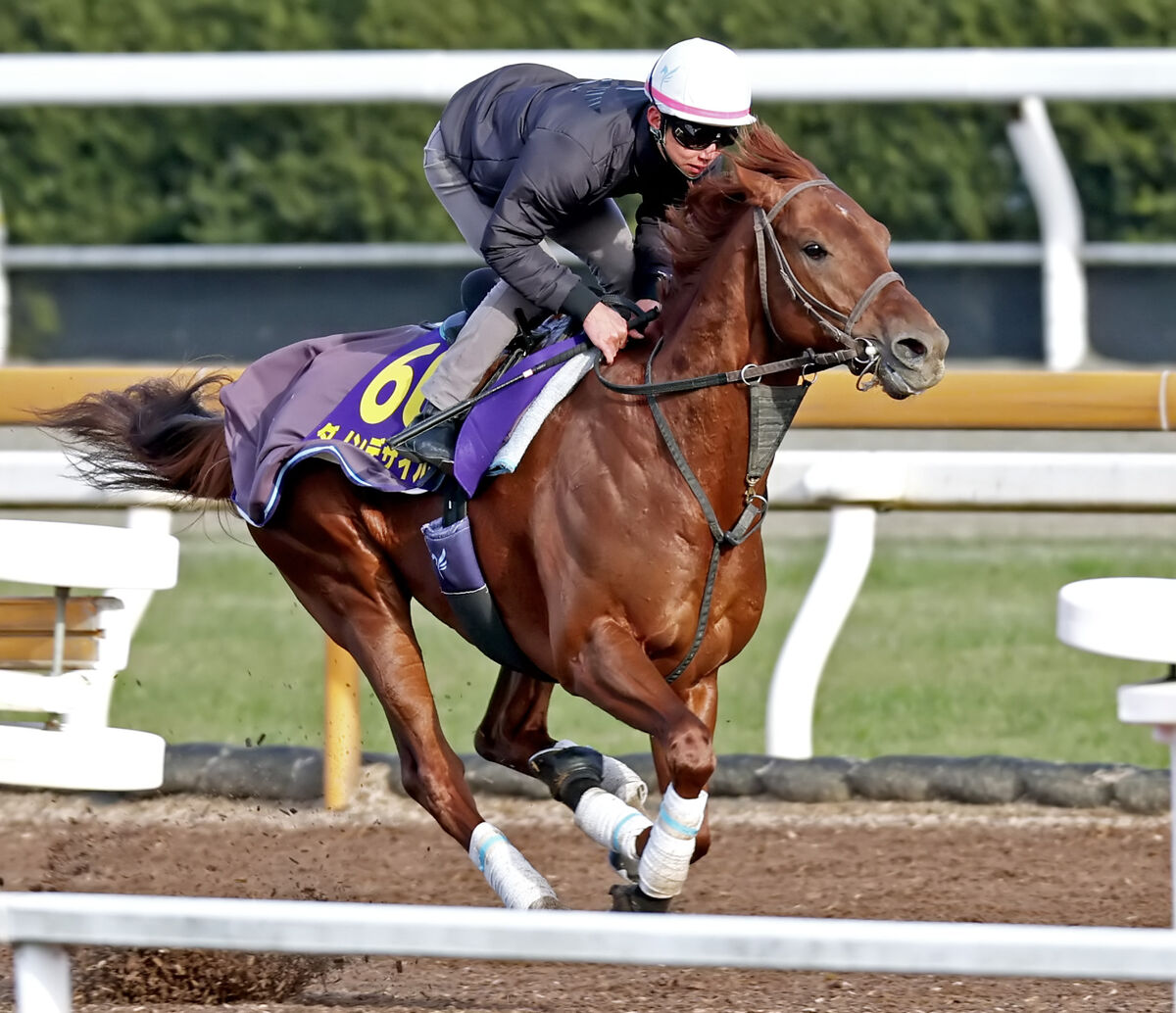 【有馬記念】オルフェーヴル以来１３年ぶり快挙へダービー馬が名手・横山典弘騎手の手綱で再び輝く