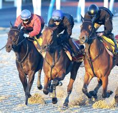 【有馬記念】巻き返しが狙えるのは陣営の手応え十分な２頭　前走からの上昇度と乗り手の感触に注目