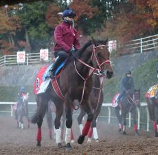 【東京大賞典】国内無敗の３歳馬フォーエバーヤングなど１３頭がエントリー　枠順は２５日に確定