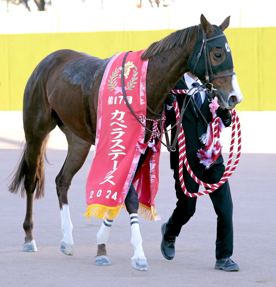 【注目馬動向】カペラＳで重賞初Ｖのガビーズシスター　サウジのリヤドダートスプリント参戦へ