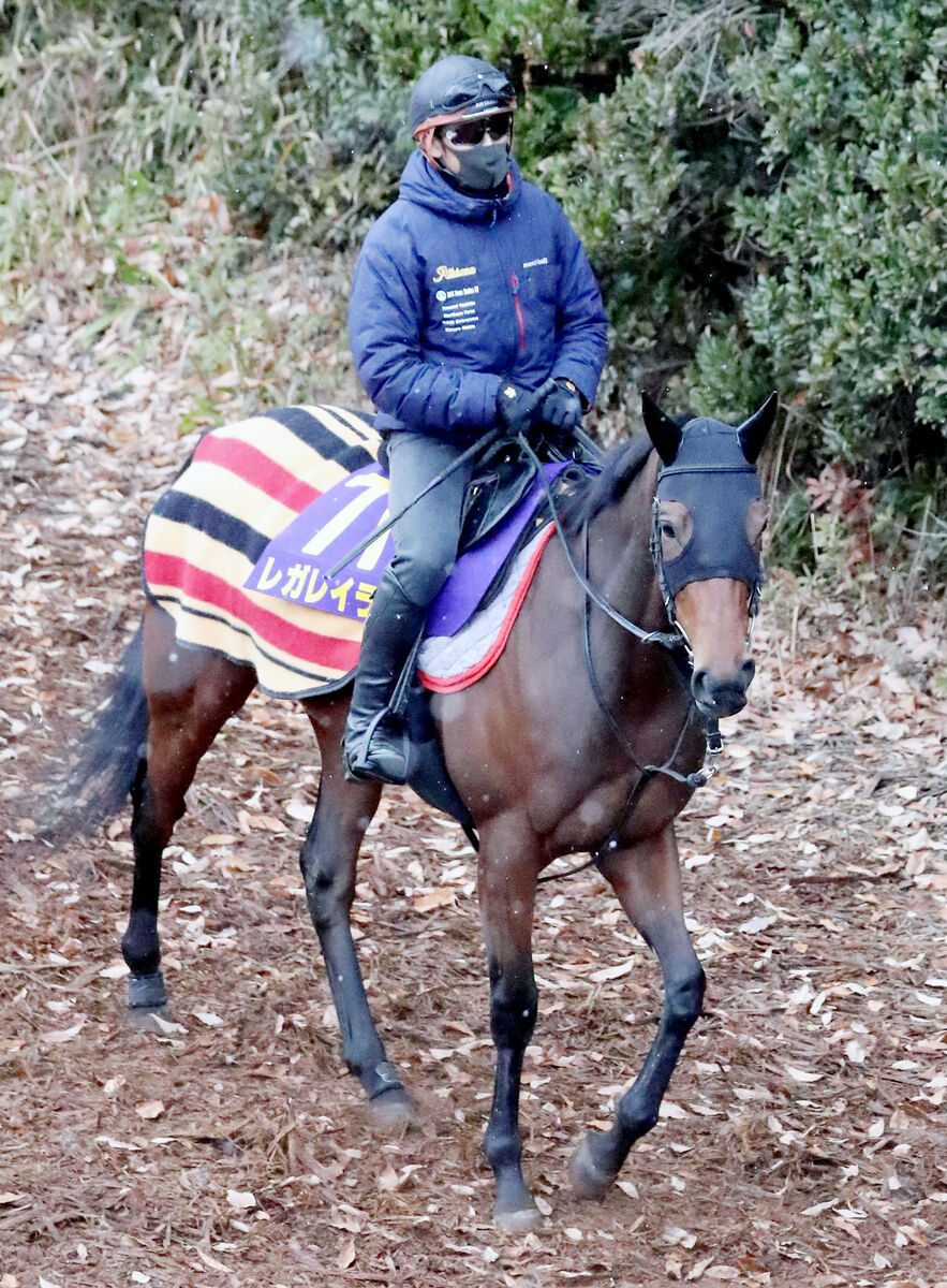 【有馬記念】最近１０年で牝馬が３勝！３頭の共通点は「牡馬相手にＧ１勝ち」今年条件にあてはまるのは？