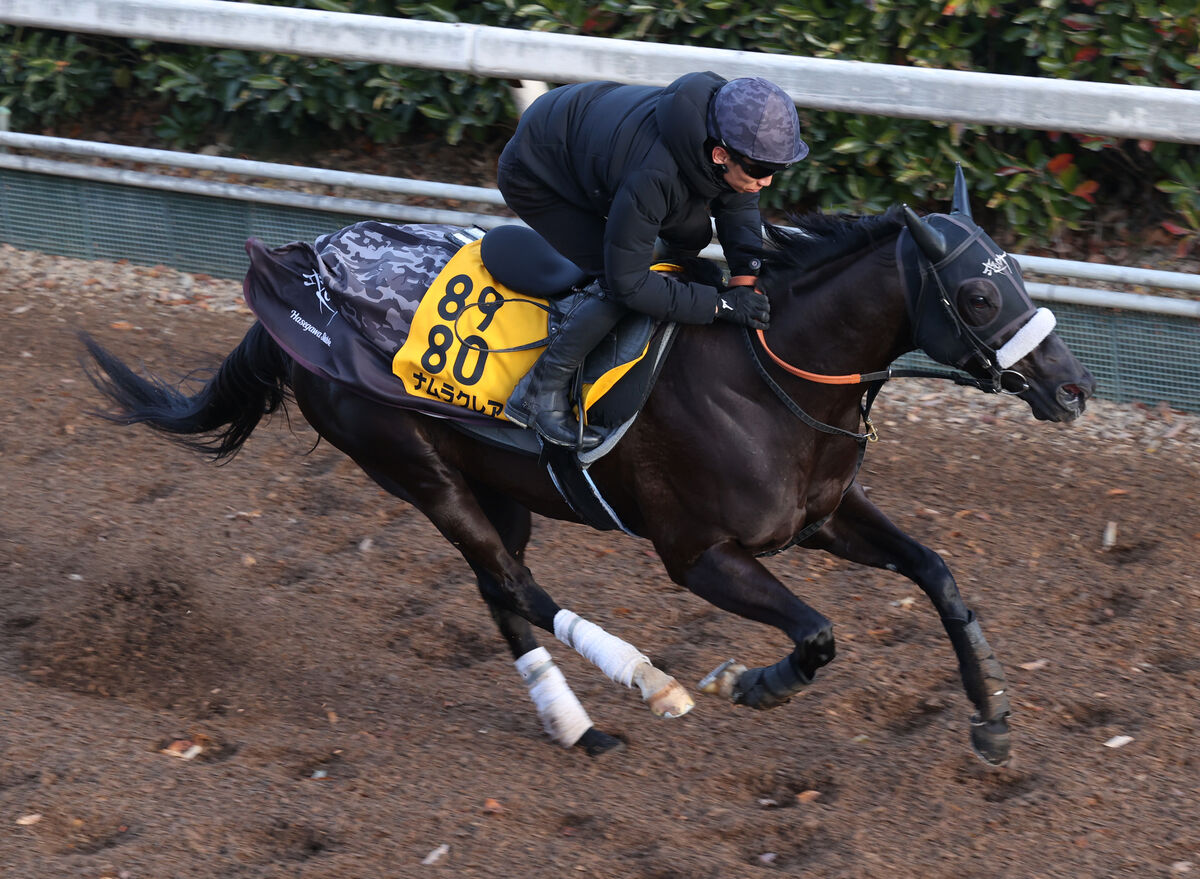 【阪神カップ】好仕上がりのナムラクレアが昨年８月以来の勝利へ　長谷川調教師「緩めずにしっかりとやれています」