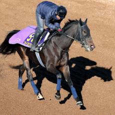 【有馬記念】好枠ゲットのスターズオンアースは気合い十分に登坂　高柳瑞樹調教師「シルエット的にも絞れてきている」