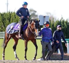 【有馬記念】ローシャムパーク３枠６番　田中博康調教師がマーカンド騎手との枠順についてのやり取り明かす