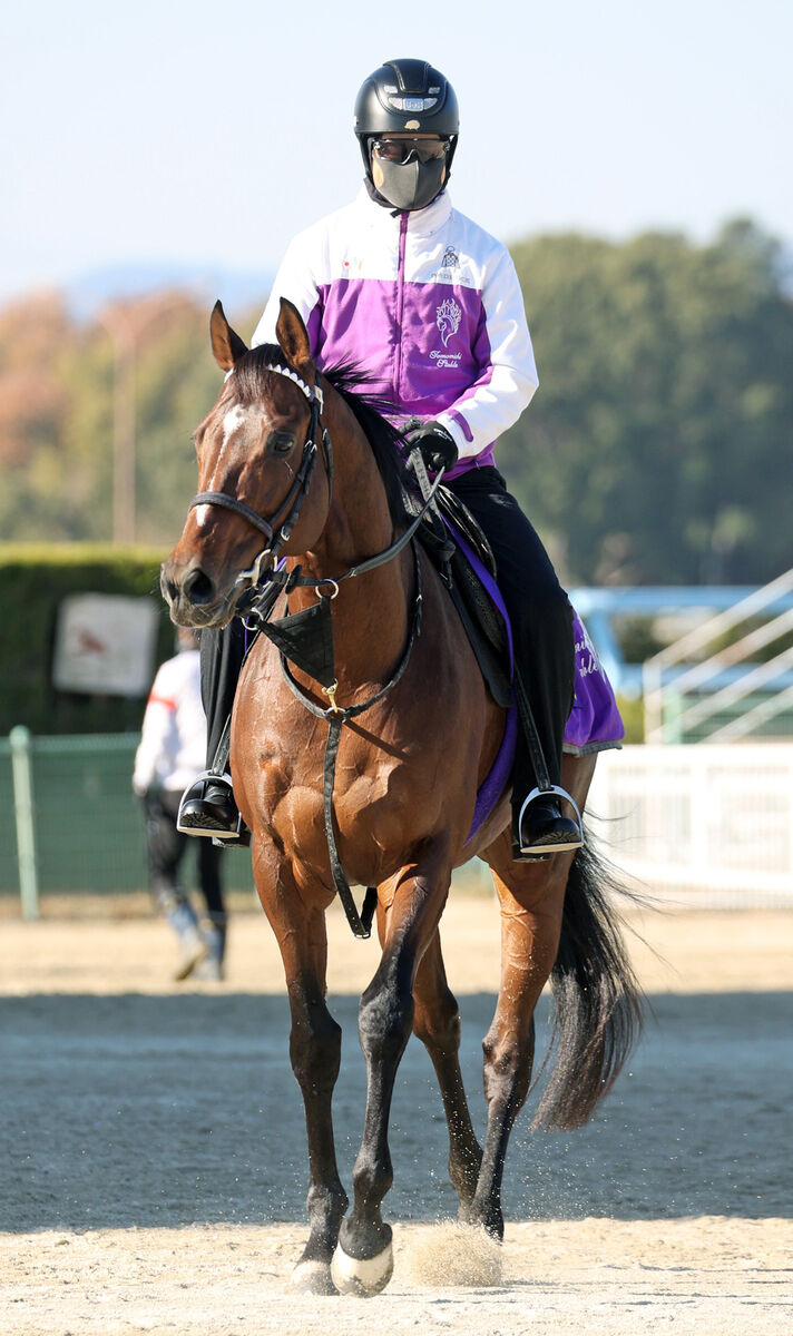 【有馬記念】ドウデュースが出走取消　右前肢ハ行のため　引退レース目前に　友道調教師「ファンの皆様に申し訳ないです」