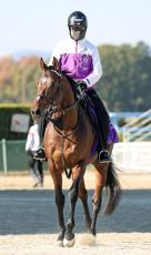 【有馬記念】ドウデュースが出走取消　右前肢ハ行のため　引退レース目前に