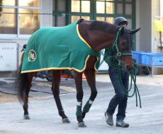 【有馬記念】直近の中山開催を掘り下げると、例年とは違う脚質傾向に　マッチしそうなのはＧ１・２勝目を狙う４歳馬