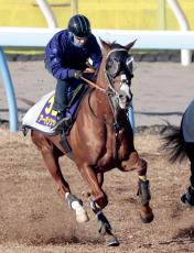 【有馬記念】「負かしてやろうとしか思っていなかった」ドウデュースとの対決実現せずも菊花賞馬は絶好調