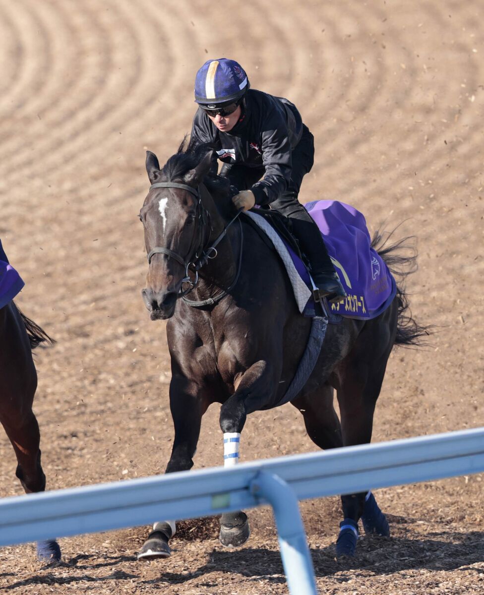 【有馬記念】スターズオンアースは意欲的な最終調整　昨年の２着馬がスピード緩めず十分な負荷かける