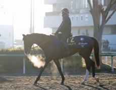 【有馬記念】ローシャムパークはグランプリ仕様の調整　田中博調教師「有馬をうまく走れるように作ってきた」