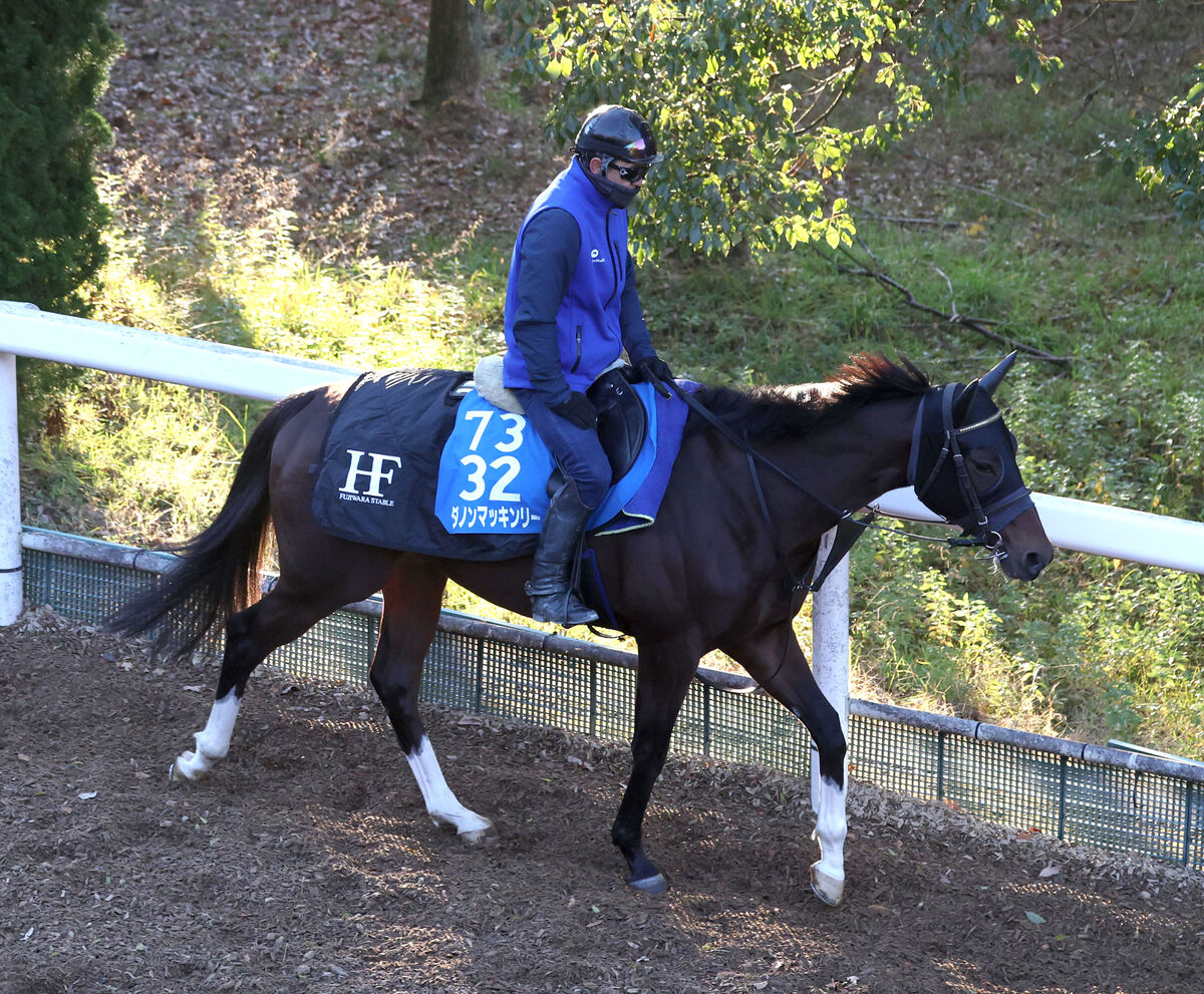 土曜京都競馬場の注目激走馬…京都１１Ｒ阪神カップ・Ｇ２