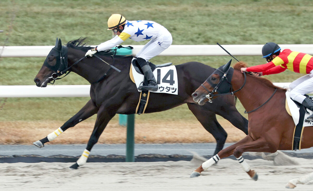 【京都６Ｒ・２歳新馬】トウタツで到達！　デビュー３１年目の幸英明騎手がＪＲＡ通算１７００勝