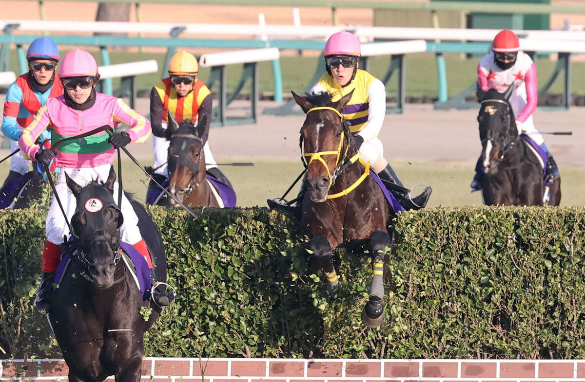 【中山大障害】ニシノデイジーが隔年制覇　五十嵐雄祐騎手は３勝目「４角で先頭のイメージで」