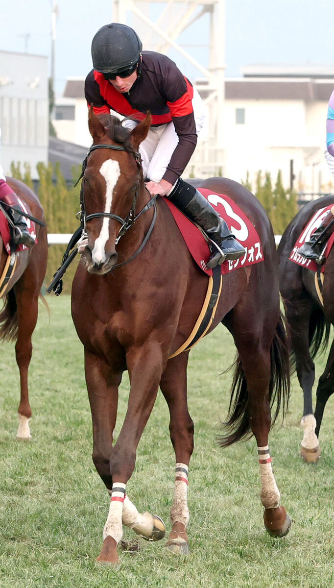 【阪神カップ】ラストランのセリフォスは４着　ムーア騎手は「キックバックが顔に当たって、気合が乗ってしまいました」