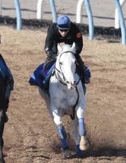 【有馬記念】３歳牡馬２頭が人気も…あの白毛馬まで１５頭中１３頭が単勝３０倍台と混戦　前日最終オッズ