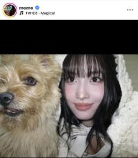 ＴＷＩＣＥ・モモ、黒髪での自撮り披露！愛犬との２ショにファン驚き「そっくりだ」「ただただ可愛い」