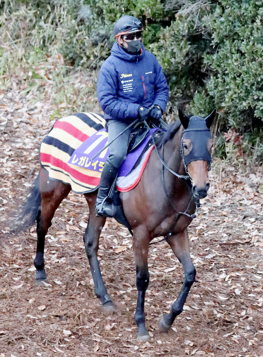 【有馬記念】穴党記者２人が一致した本命馬の瞬発力は中山向き！推しの牝馬は軽量を味方に復活Ｖを遂げる