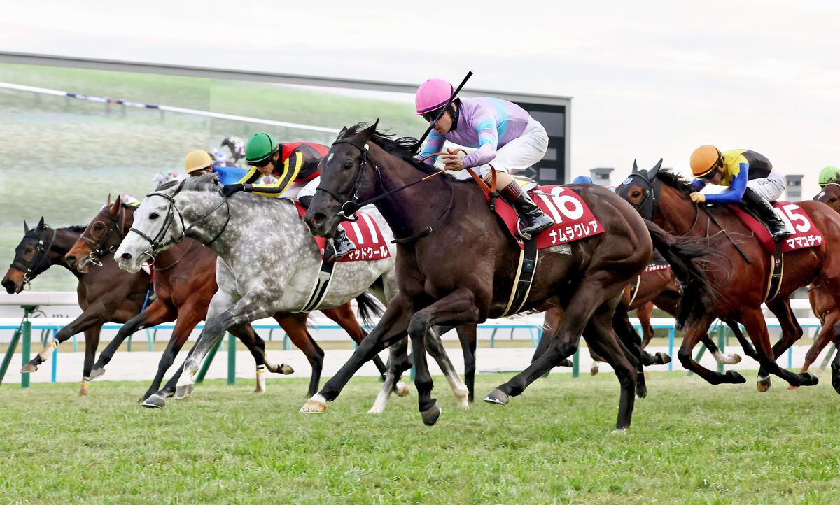 【阪神Ｃ】大外から１２頭ごぼう抜き！異次元の豪脚でナムラクレア重賞５勝目