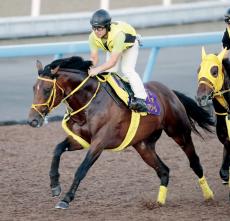 【大井競馬・東京大賞典】ウシュバテソーロ３連覇だ！