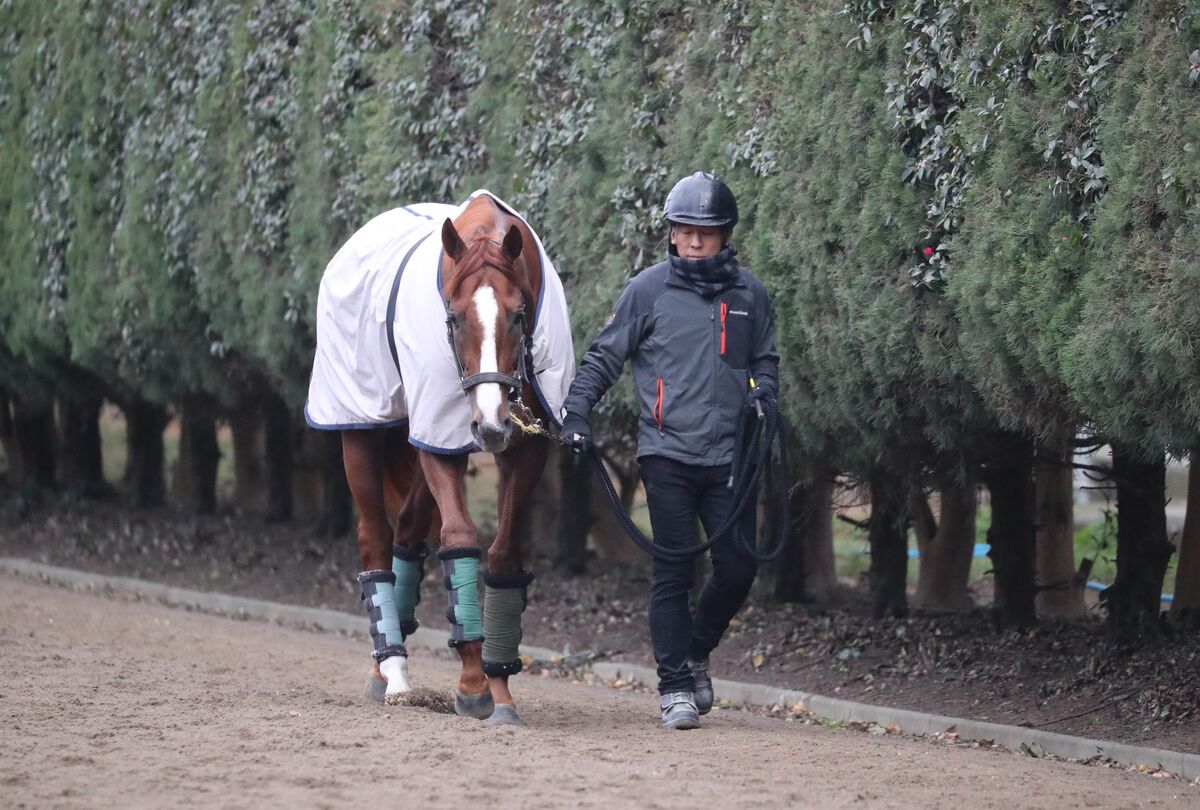 馬トク外厩情報からの推奨馬…有馬記念・Ｇ１