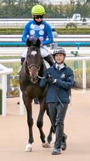 【京都４Ｒ・２歳新馬】タイセイドラードが馬なりで大差のデビューＶ　西村淳也騎手「能力が違うと思っていた」