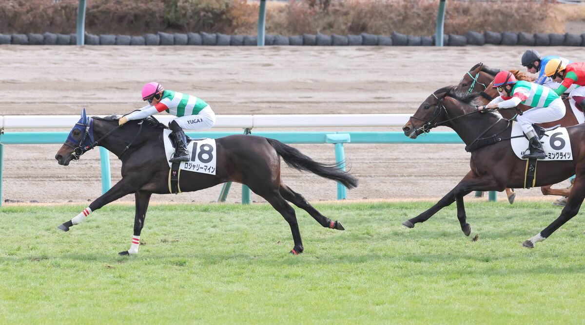 有馬記念当日の中山競馬場は直線で強烈な向かい風　壁を作れる差し馬が有利！