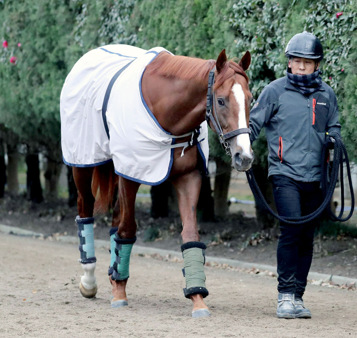 【有馬記念】直前の馬体重発表で２ケタの増減は２頭　１番人気はプラス６キロ