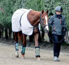 【有馬記念】直前の馬体重発表で２ケタの増減は２頭　１番人気はプラス６キロ増