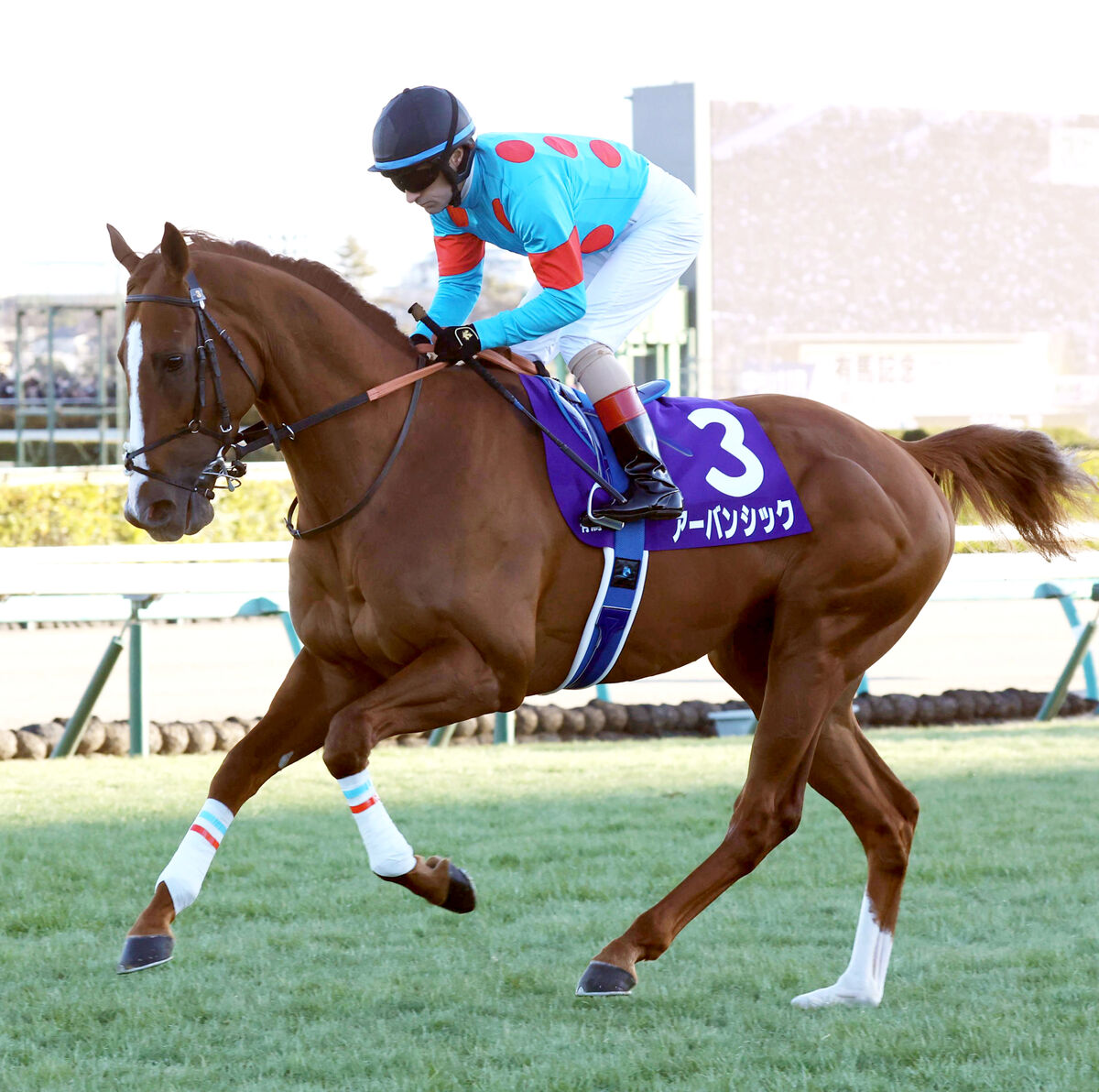 【有馬記念】１番人気アーバンシックは失速６着　菊花賞からの連勝ならず