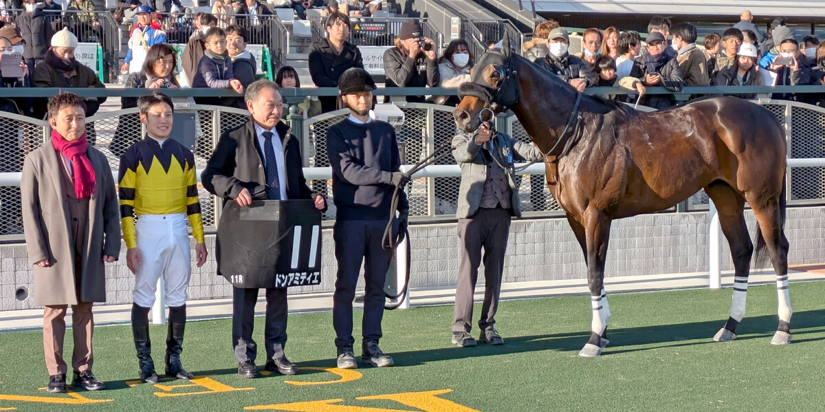 【京都１１Ｒ・りんくうＳ】ドンアミティエが危なげない内容でオープン初勝利　菱田裕二騎手「とてもいい内容で勝てた」