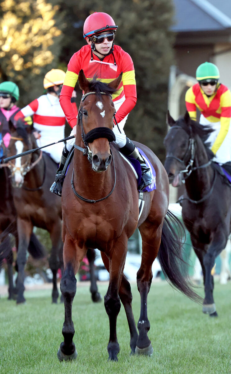 【有馬記念】「気持ち長かったかもしれない」ベラジオオペラ４着に横山和生騎手は距離適性を挙げる