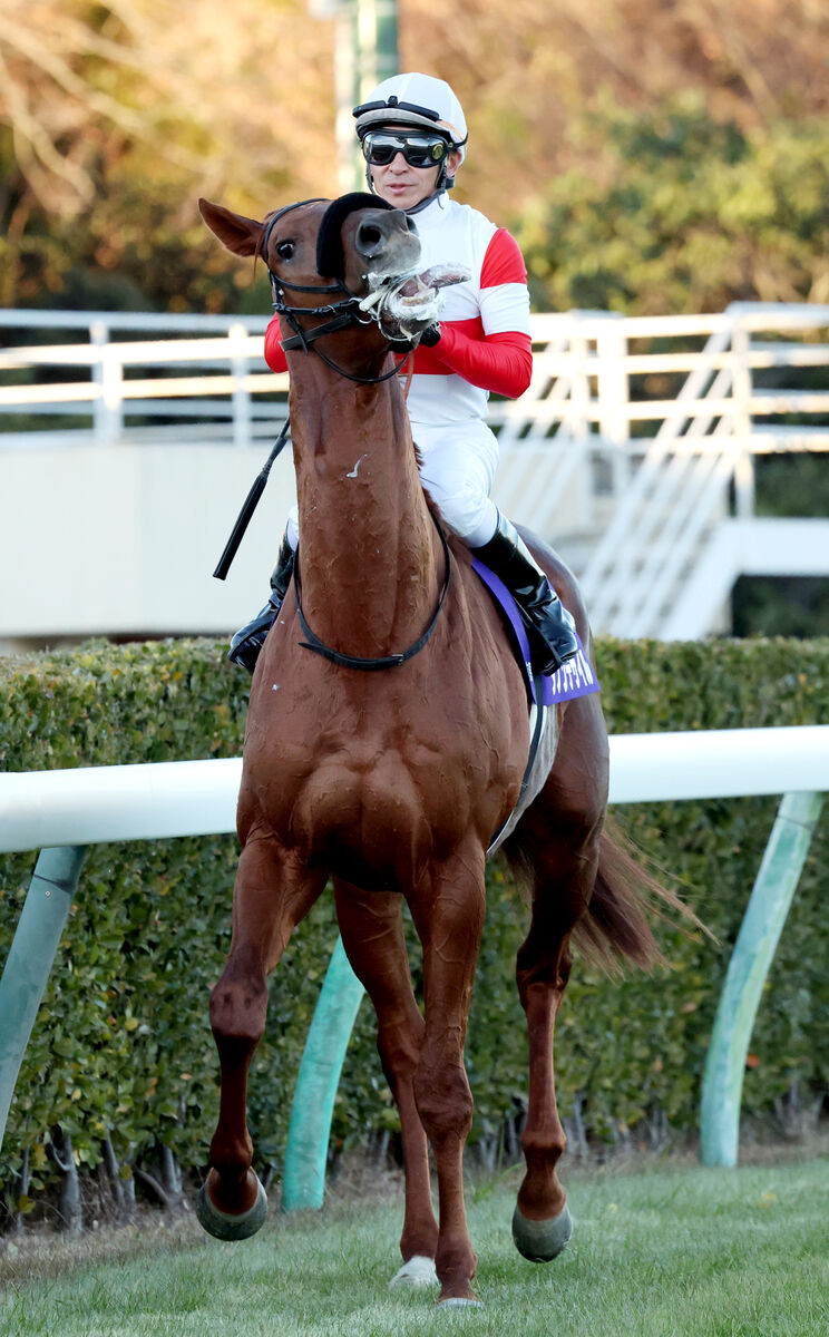 【有馬記念】ダービー馬ダノンデサイルは逃げて３着　安田調教師「これからに期待というよりも…」