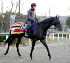 【ホープフルＳ・浅子の特注馬】上原佑紀厩舎の重賞初Ｖがかかるピコチャンブラック　前走の経験生かして大仕事も