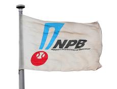 来年１月１８日に横浜で「ＮＰＢ初心者向け審判講習会」　受講者募集開始