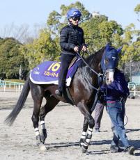 【ホープフルＳ】前走アイビーＳ組が高確率で馬券に絡む！今年の勝ち馬は強烈末脚見せた良血