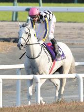 【注目馬動向】ガイアフォースはフェブラリーＳに出走予定　今年２着のレースで巻き返しへ