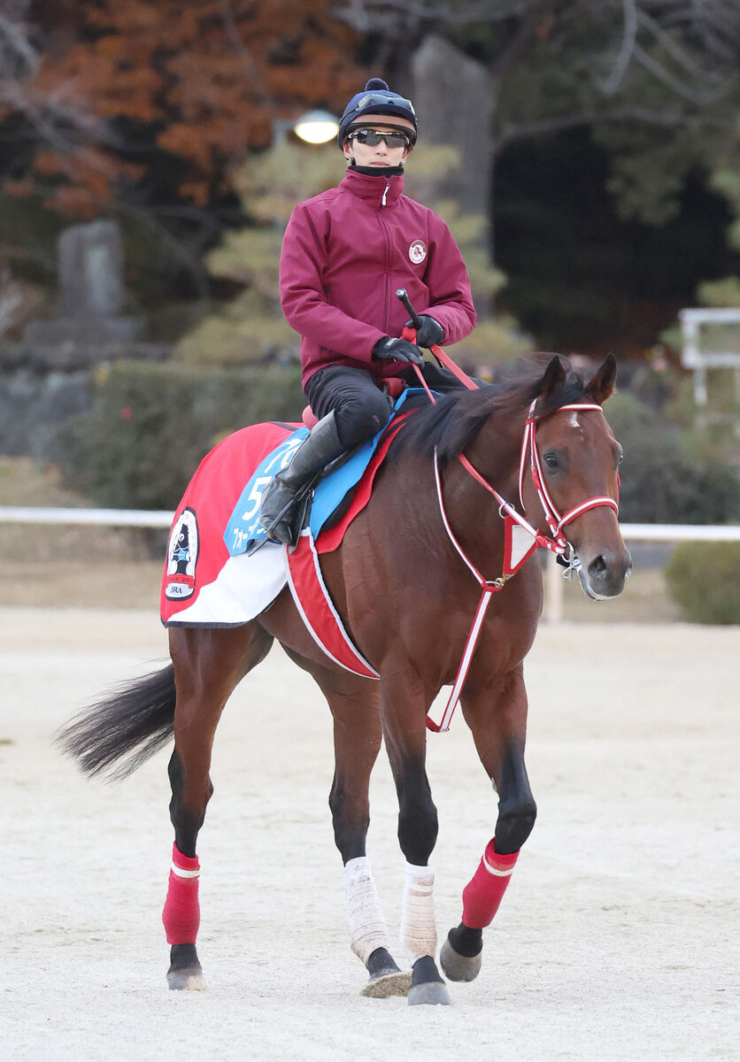 【注目馬動向】世界のＹＡＨＡＧＩが来春、中東攻勢へ　フォーエバーヤング＆シンエンペラーなど最大４頭が挑戦