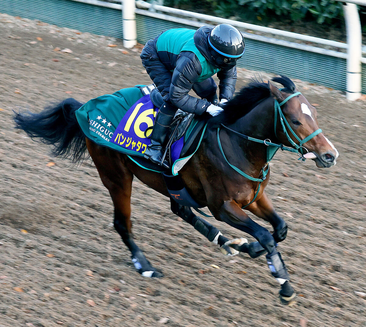 【注目馬動向】パンジャタワーは引き続き松山騎手でファルコンＳへ