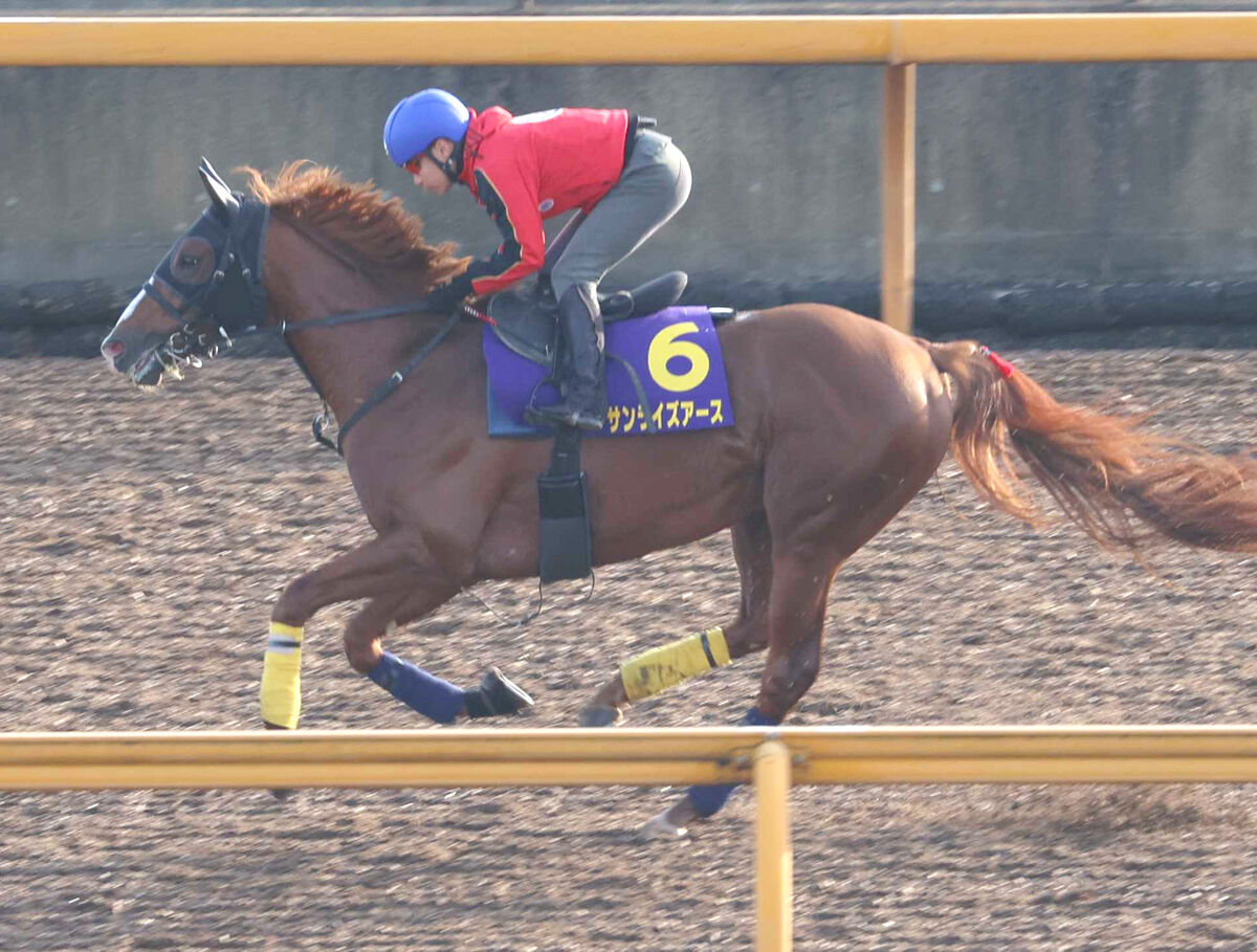 【注目馬動向】ダービー４着のサンライズアースは池添謙一騎手で日経新春杯へ　石坂調教師「早めに戻して順調」