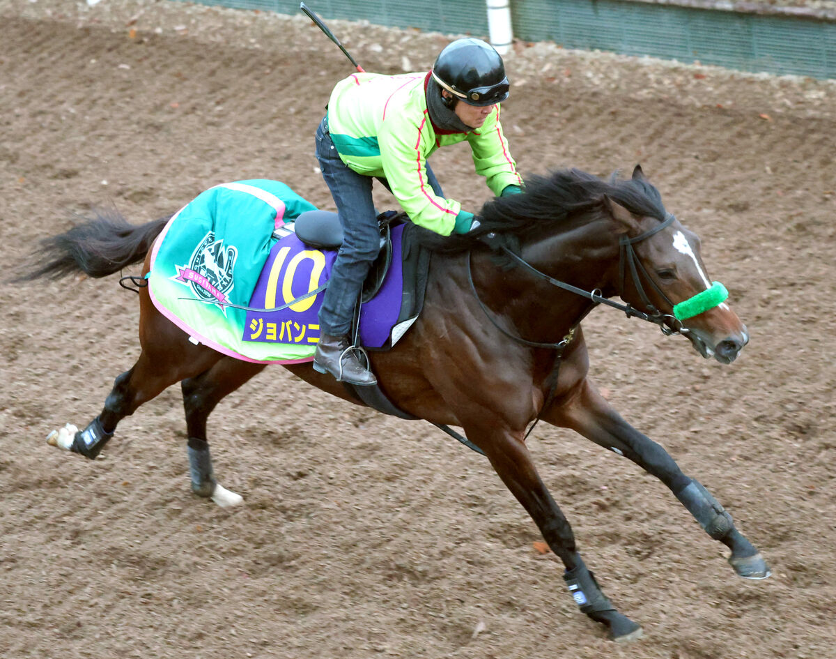 【ホープフルＳ】京都２歳Ｓ２着ジョバンニが坂路を軽快　杉山晴調教師「引けは取らない」