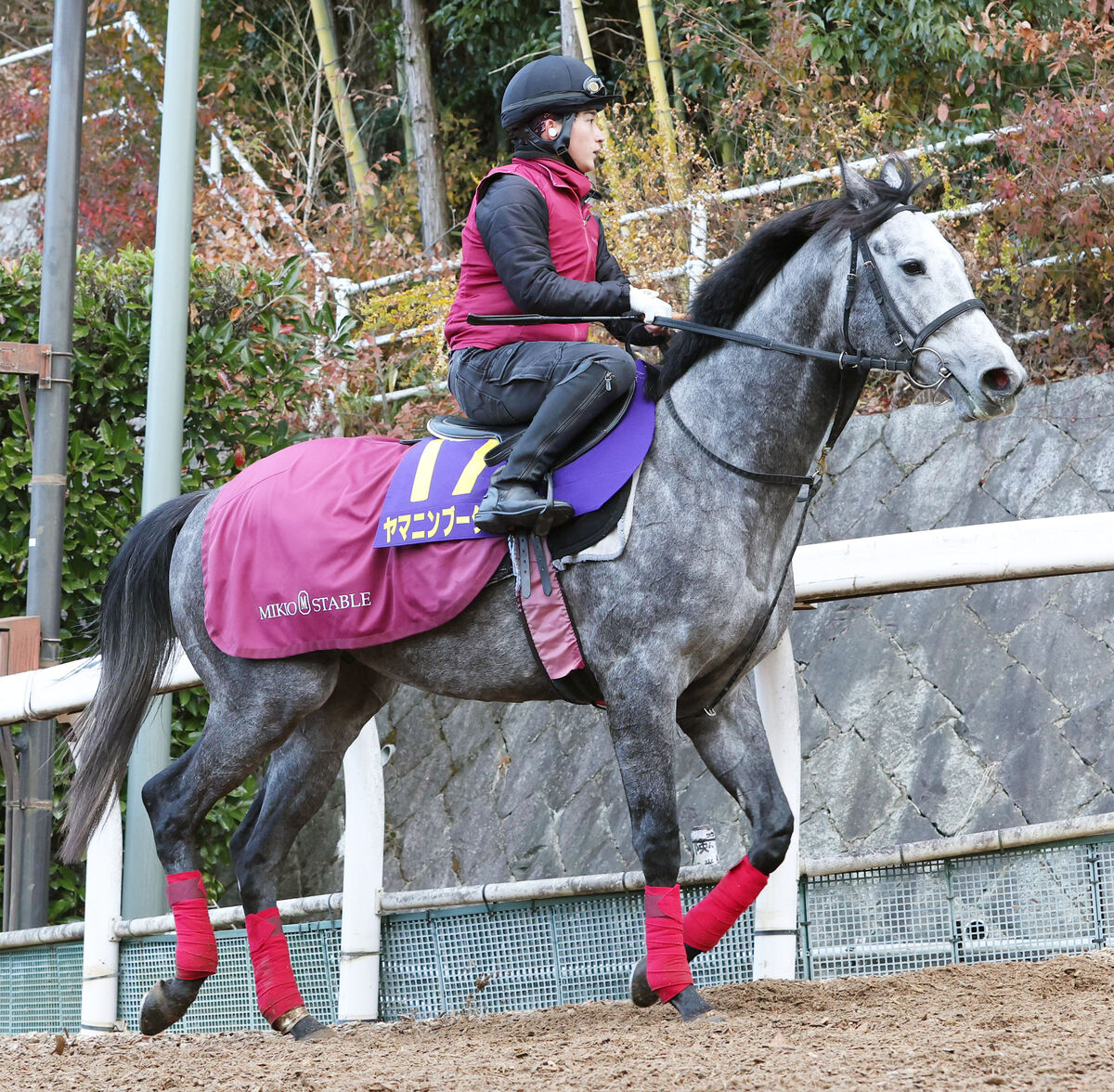 【ホープフルＳ】ＪＲＡ・Ｇ１完全制覇懸かる武豊騎手に松永幹調教師エール　ヤマニンブークリエは「いい調教できた」