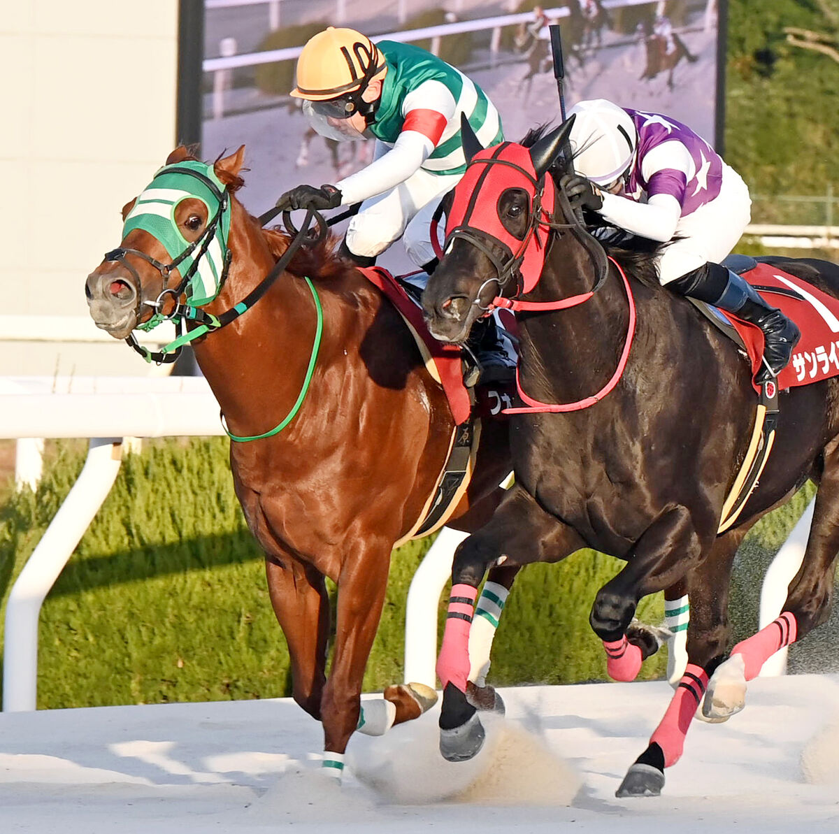 【兵庫ゴールドＴ】フォーヴィスムが中央勢撃破！　地方勢初Ｖで交流重賞初制覇　吉原寛人騎手「勝ててよかった」