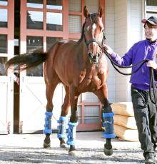 ドウデュースが競走馬登録抹消　正式に現役引退