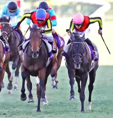 有馬記念の覇者レガレイラが右前脚第１指骨剥離骨折　全治３か月以上