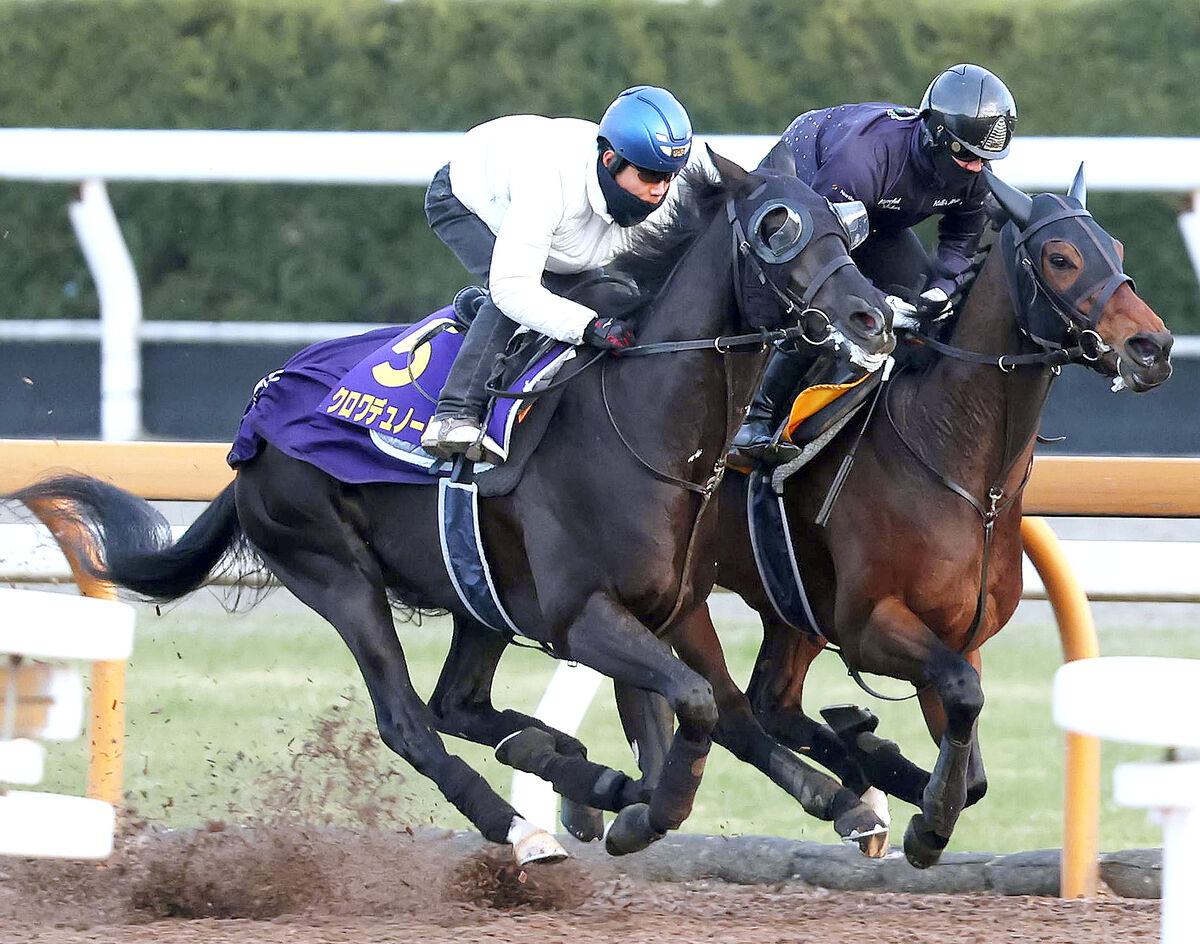 【ホープフルＳ】「ここも勝って、クラシックに」上昇際立つ無敗馬が絶対的主役へ名乗りを上げる