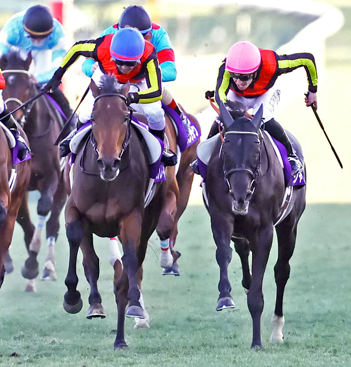 有馬記念で６４年ぶり快挙達成の３歳牝馬が右前脚骨折　全治は全治３か月以上、２８日手術へ