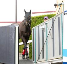 シャフリヤールの競走馬登録を抹消　２１年日本ダービーなど国内外Ｇ１・２勝