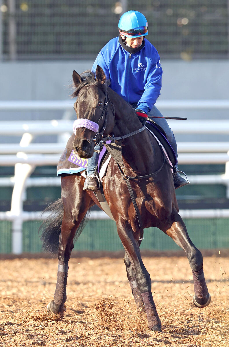 【ホープフルＳ】札幌２歳Ｓを制したマジックサンズは６枠１２番　陣営は歓迎「偶数で良かった」